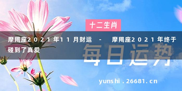 摩羯座2021年11月财运 - 摩羯座2021年终于碰到了真爱